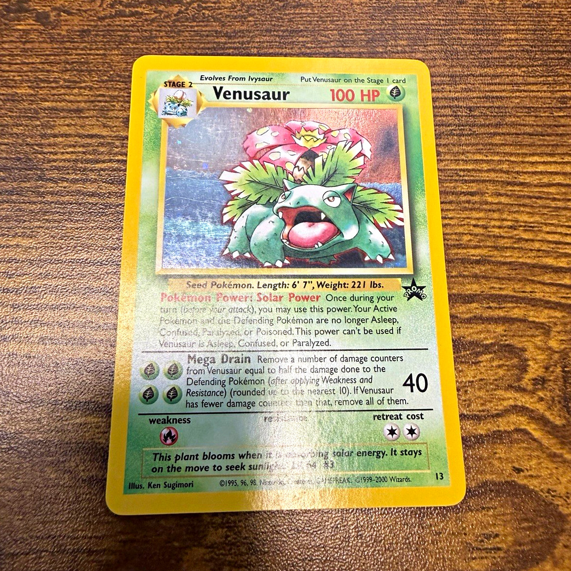 Venusaur 13/53 WotC Promo 1999 Wizards of the Coast Holo Promo English 100 HP Venusaur 13/53 WotC Promo 1999 Wizards of the Coast Holo Promo English 100 HP