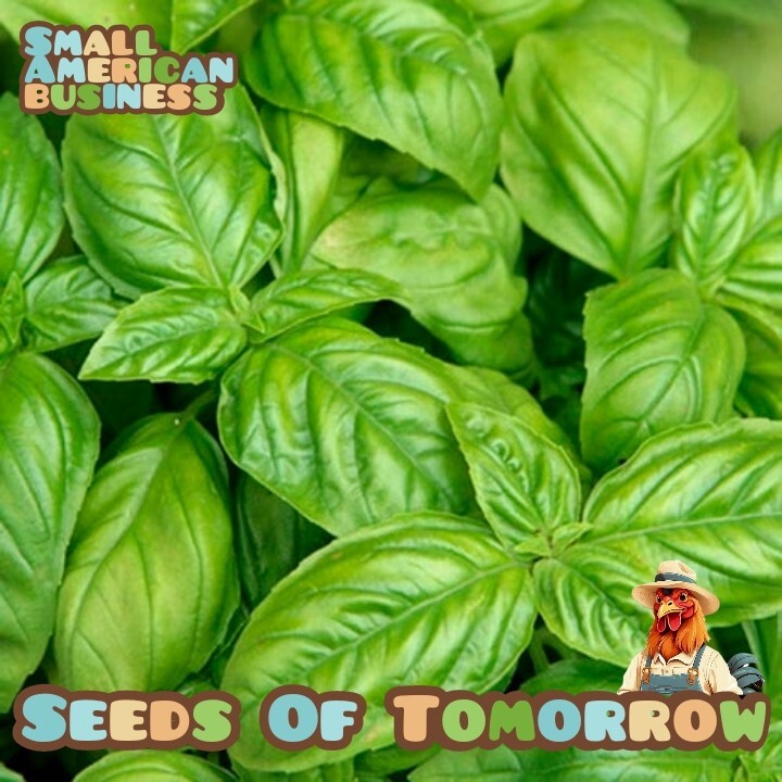 1000+ Organic Large Leaf Italian Basil Seeds- With Bonus |Non-GMO Heirloom| 1000+ Organic Large Leaf Italian Basil Seeds- With Bonus |Non-GMO Heirloom|