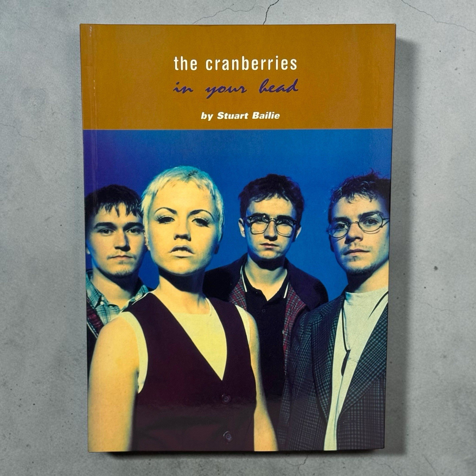 The Cranberries IN YOUR HEAD Book 1995 1st Edition Stuart Bailie O\'Riordan Rare