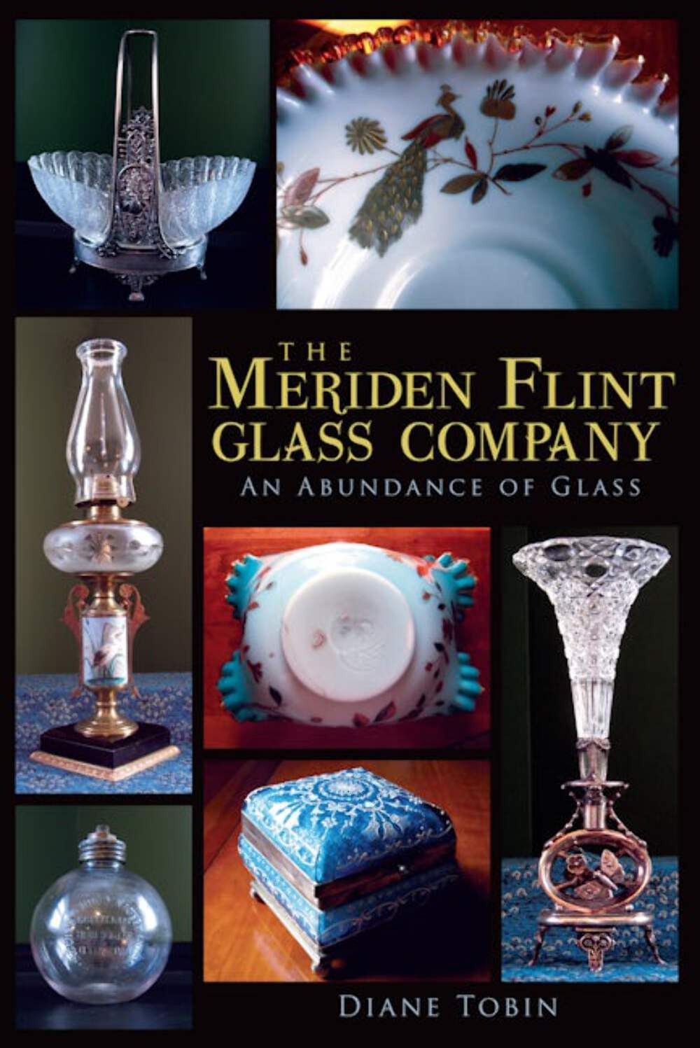 NEW The History Press The Meriden Flint Glass Company, CT 9781609494926  Trade P