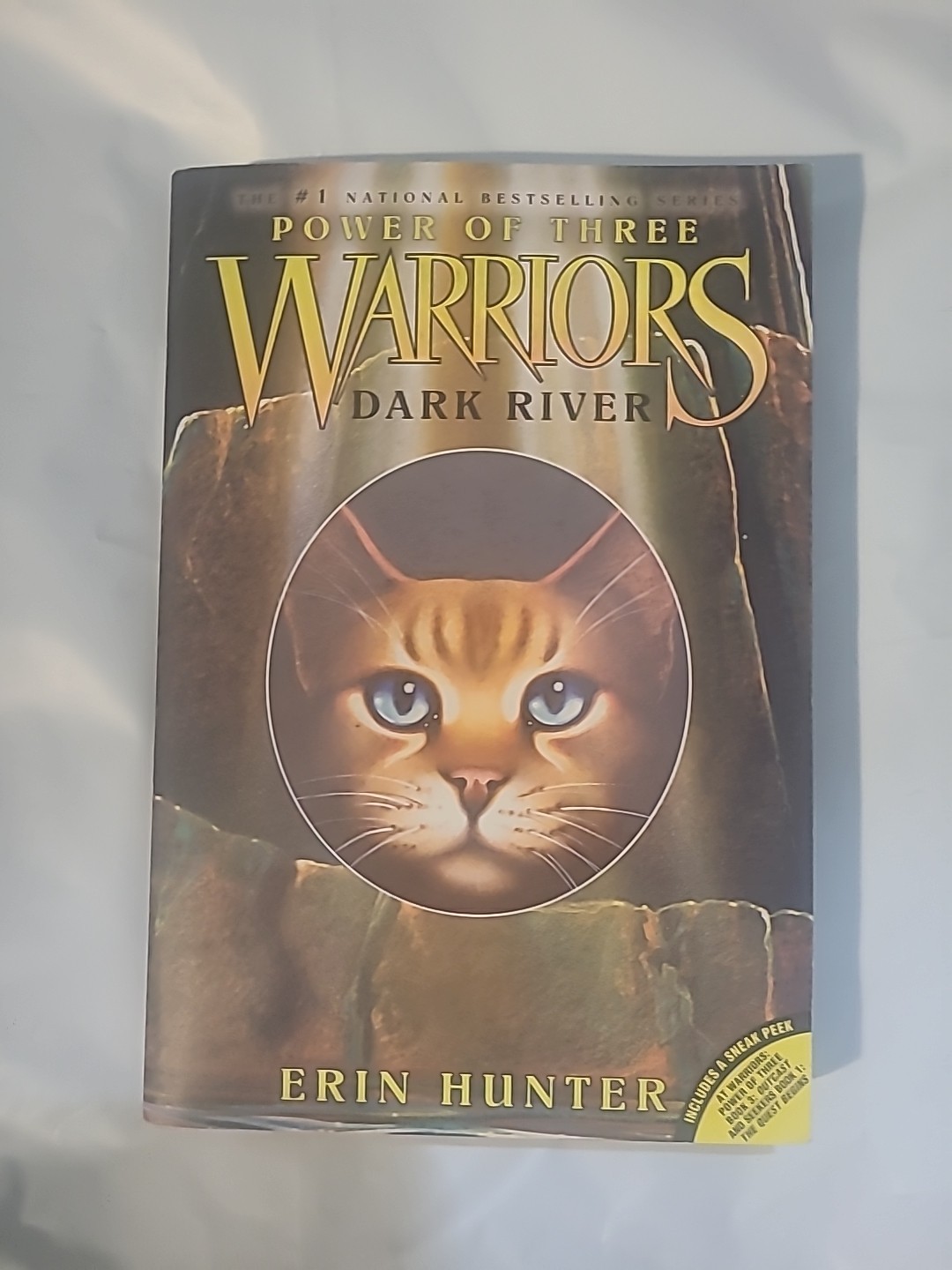 Dark River by Erin Hunter (2008, Trade Paperback)
