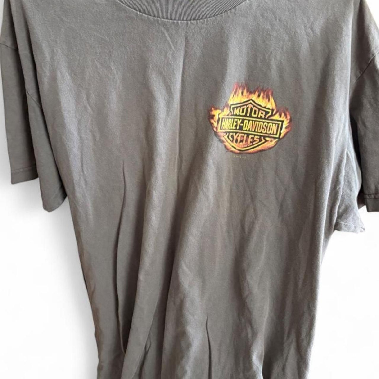 Harley-davidson Men\'s Grey and Khaki T-shirt