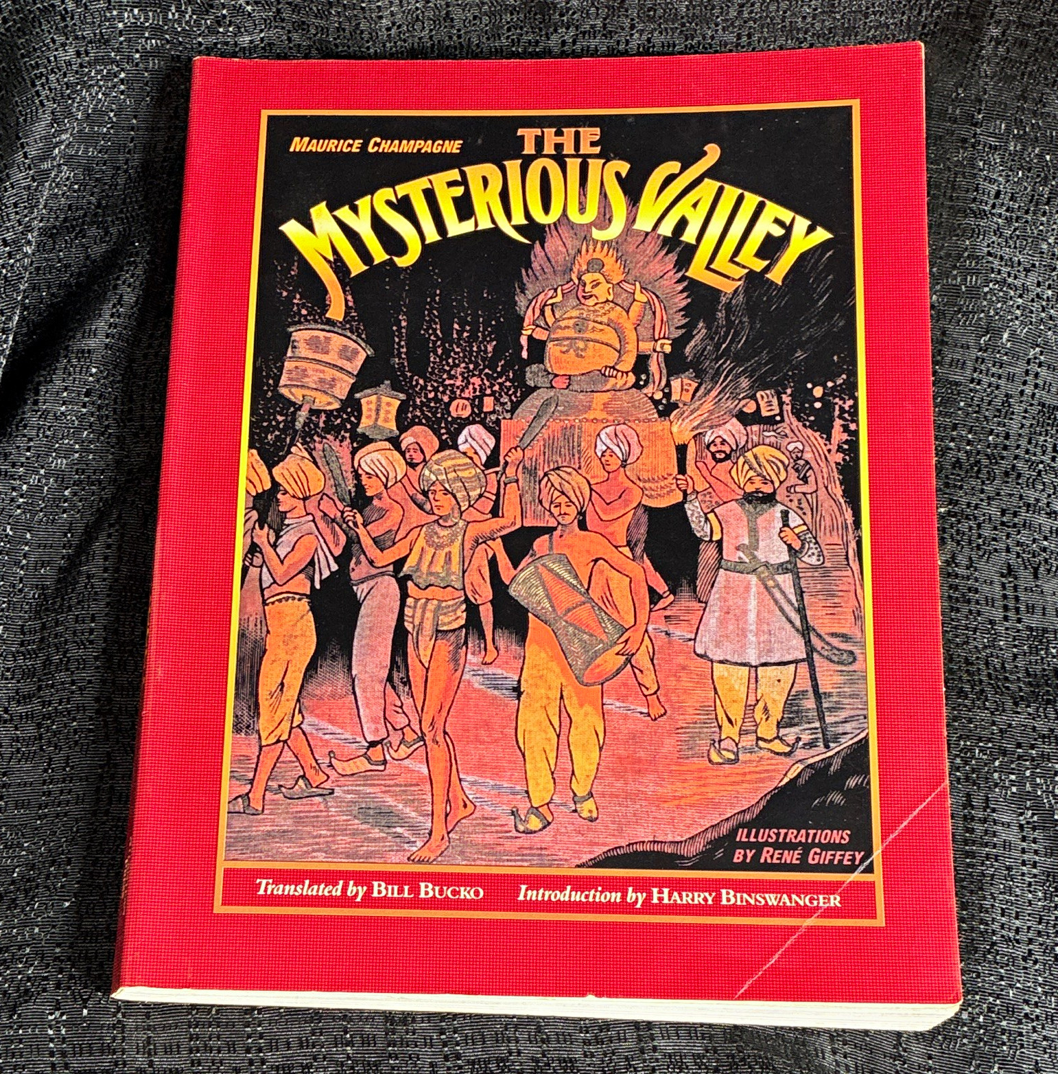 The Mysterious Valley Maurice Champagne Hardcover Illustrated Mystery