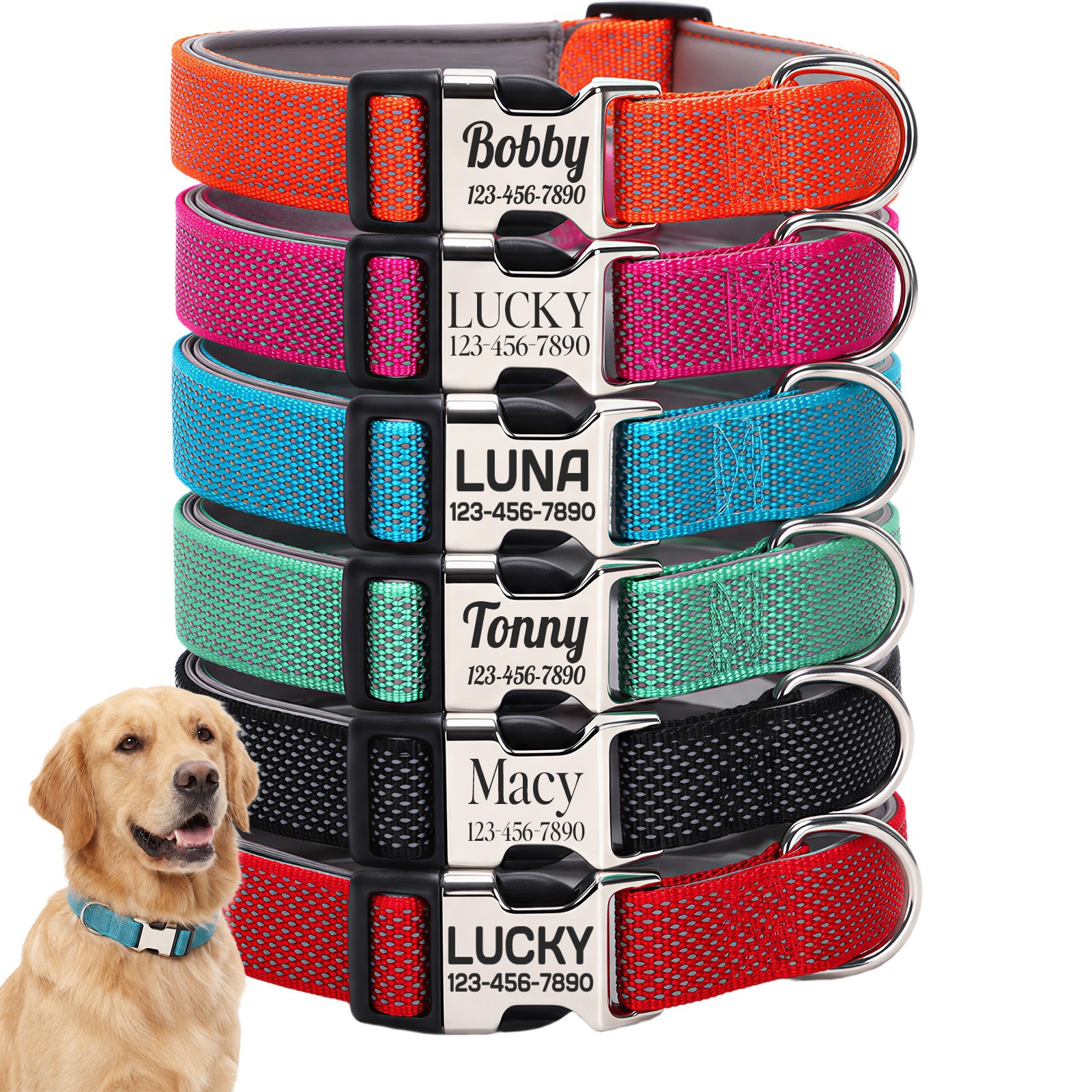 PawTrail Personalized Dog Collar Laser Engraved Name & Phone Reflective Neoprene