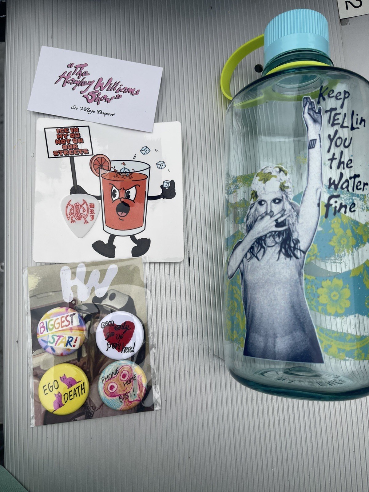 Hayley Williams Reverb Nalgene Water Bottle, Zissou lyrics + sticker, pick, pins Hayley Williams Reverb Nalgene Water Bottle, Zissou lyrics + sticker, pick, pins
