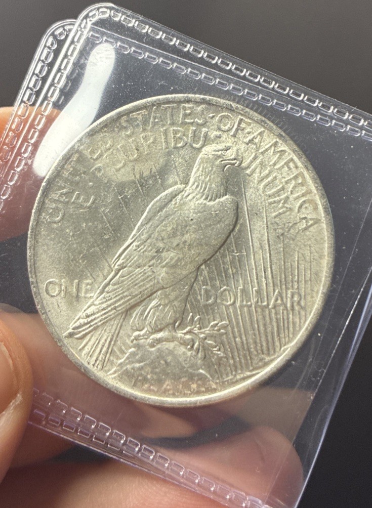 1922 Peace Dollar Almost Uncirculated In Plastic Sleeve 1922 Peace Dollar Almost Uncirculated In Plastic Sleeve