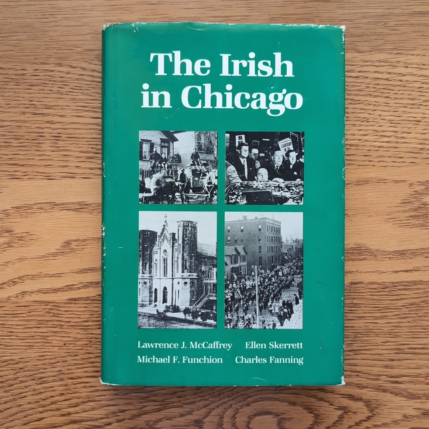 The Irish in Chicago Hardcover 1987 First Edition SIGNED