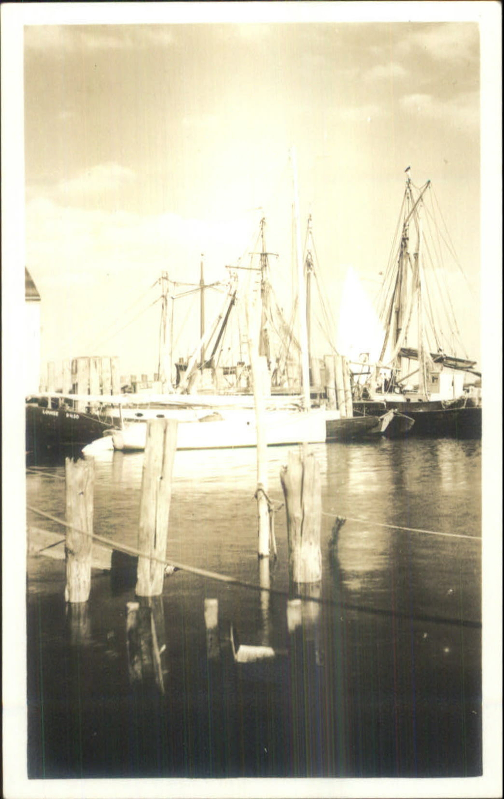 Harbor & Boats - Possibly Nantucket MA c1920s-30s Real Photo Postcard