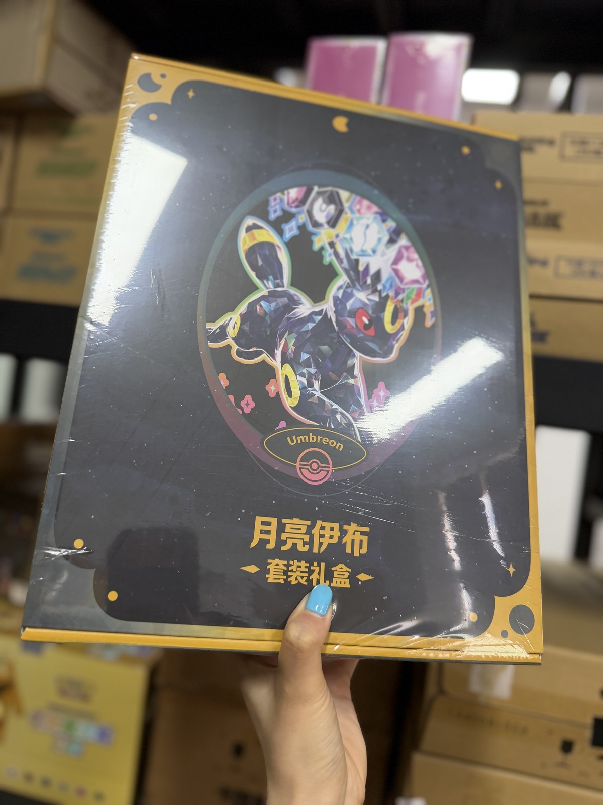 Pokémon TCG Chinese Terastal Gathering Binder Set Factory Sealed - Umbreon   US