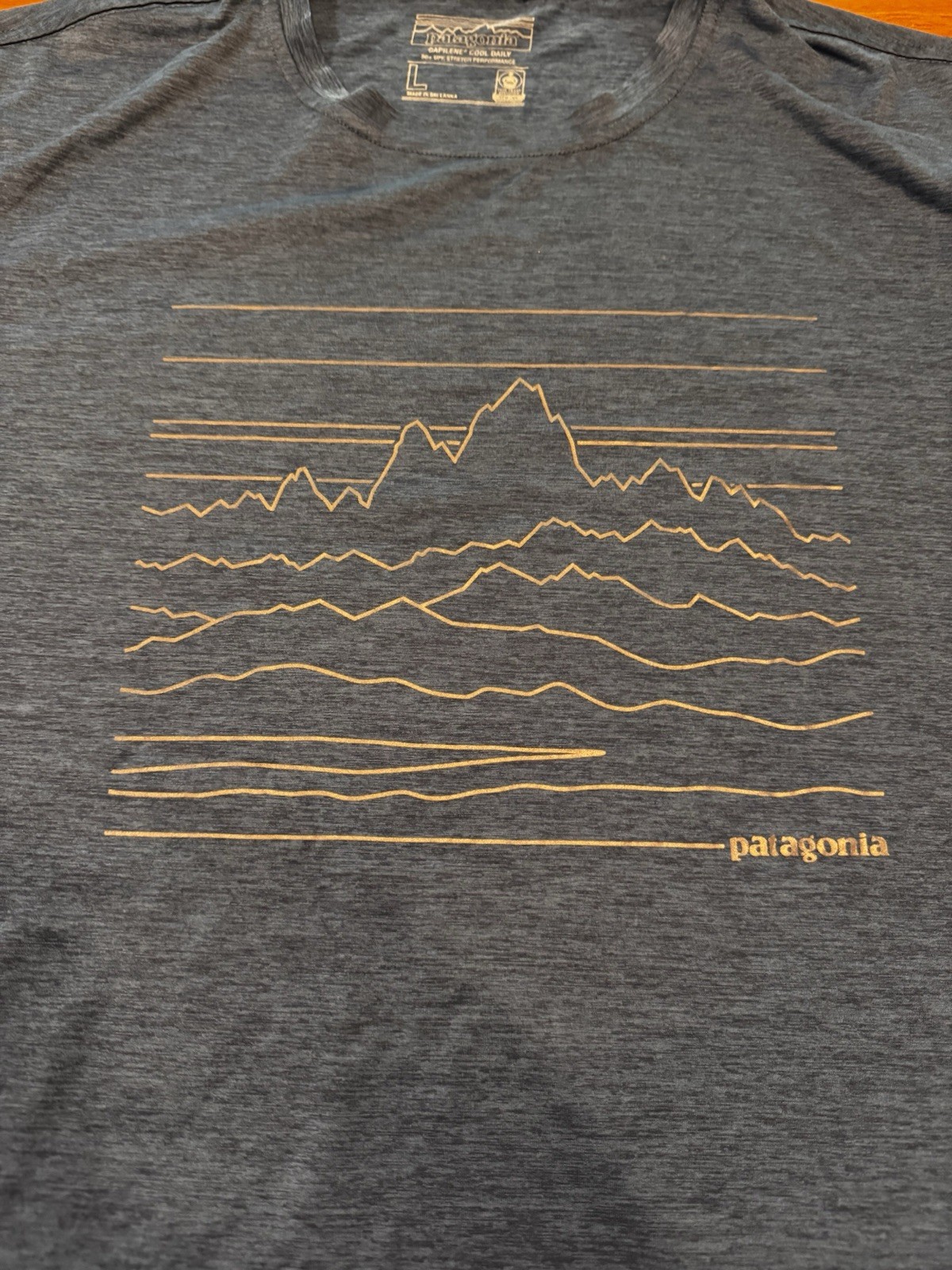Patagonia Capilene Cool Daily Graphic T Shirt Blue Mountains Patagonia Capilene Cool Daily Graphic T Shirt Blue Mountains