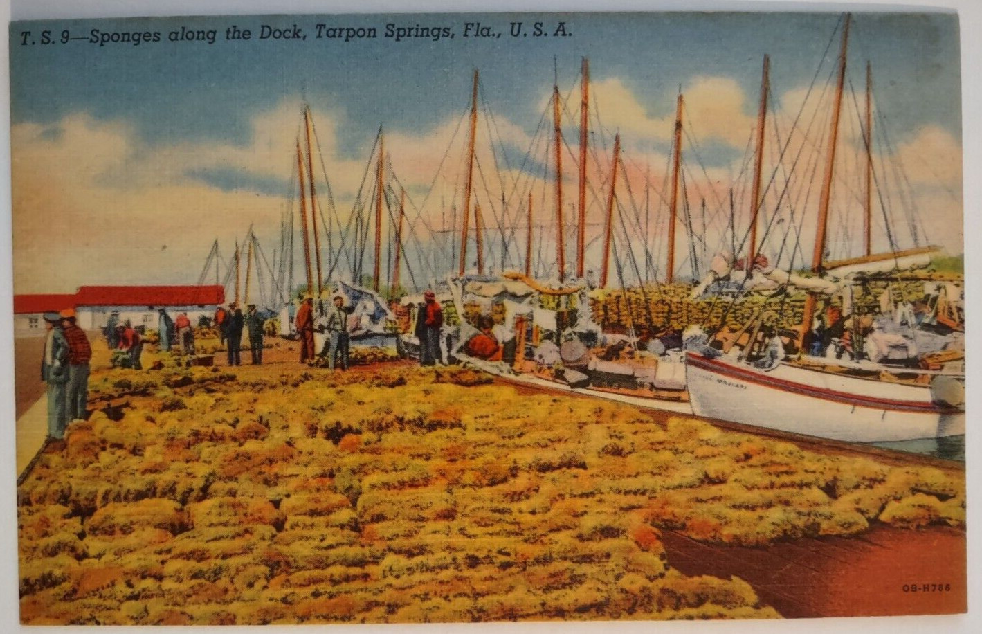 Sponges Tarpon Springs Dock Florida Boats Linen Postcard Vintage Unposted