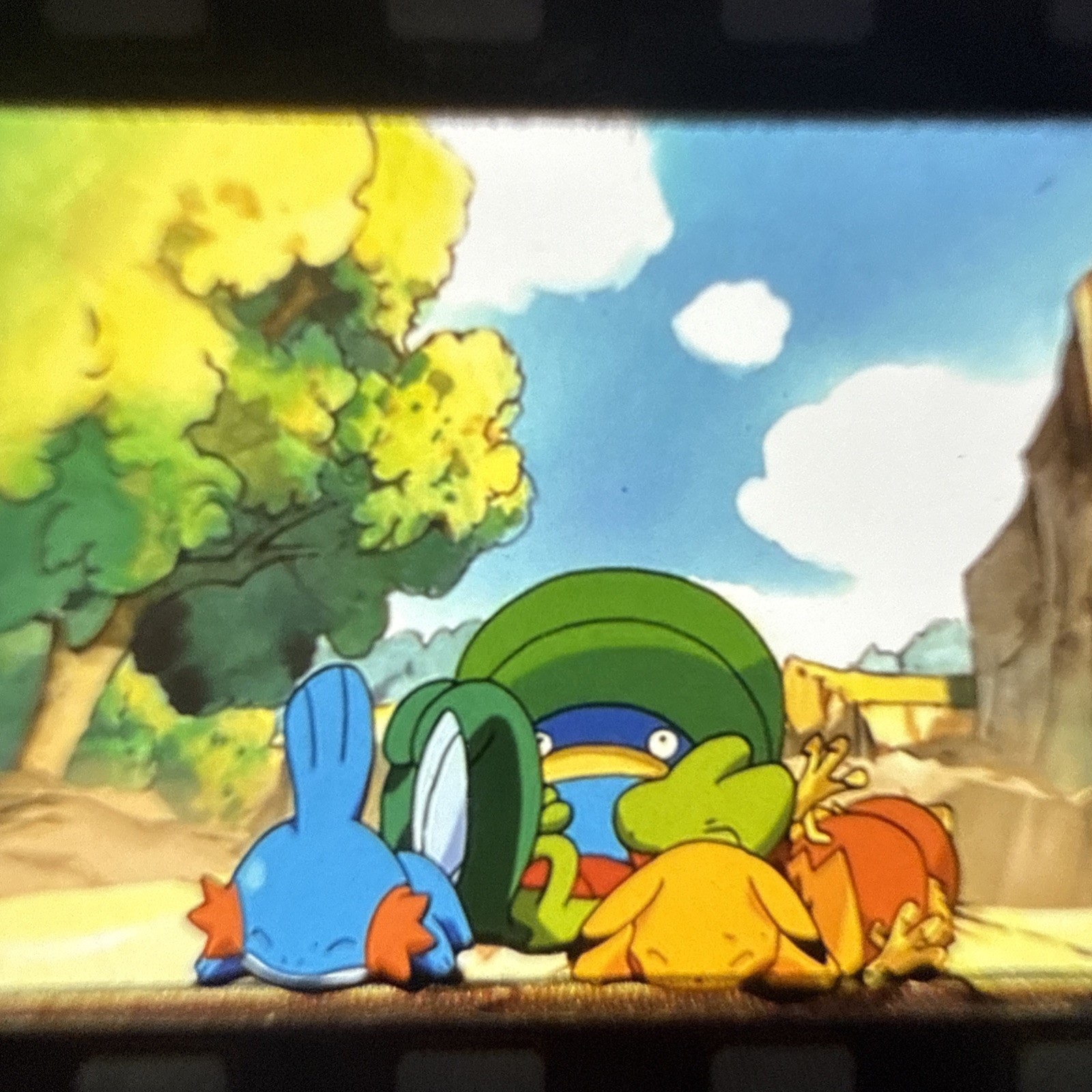 Pokémon FSA 35 MM Film Cell Pikachu & Mudkip Authentic Film RARE Pokémon FSA 35 MM Film Cell Pikachu & Mudkip Authentic Film RARE