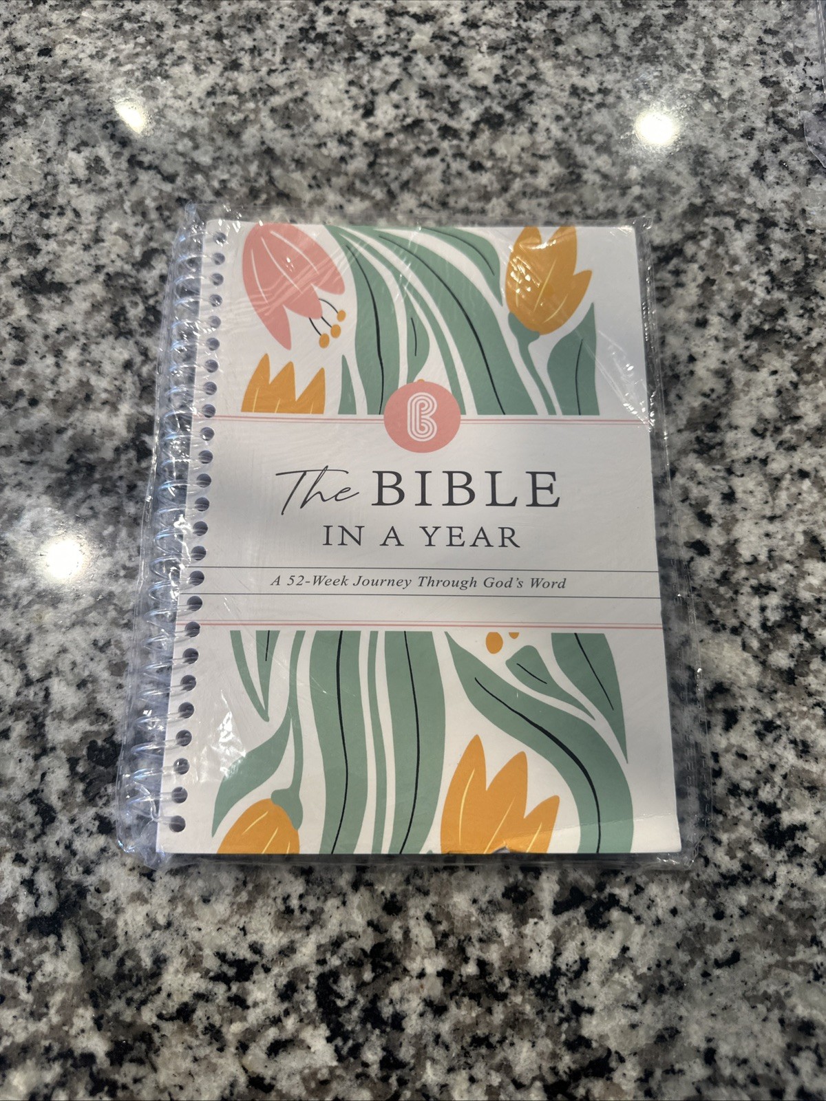 The Bible in a Year 52-Week Faith Study Notebook Spiral Bound Workbook..📚