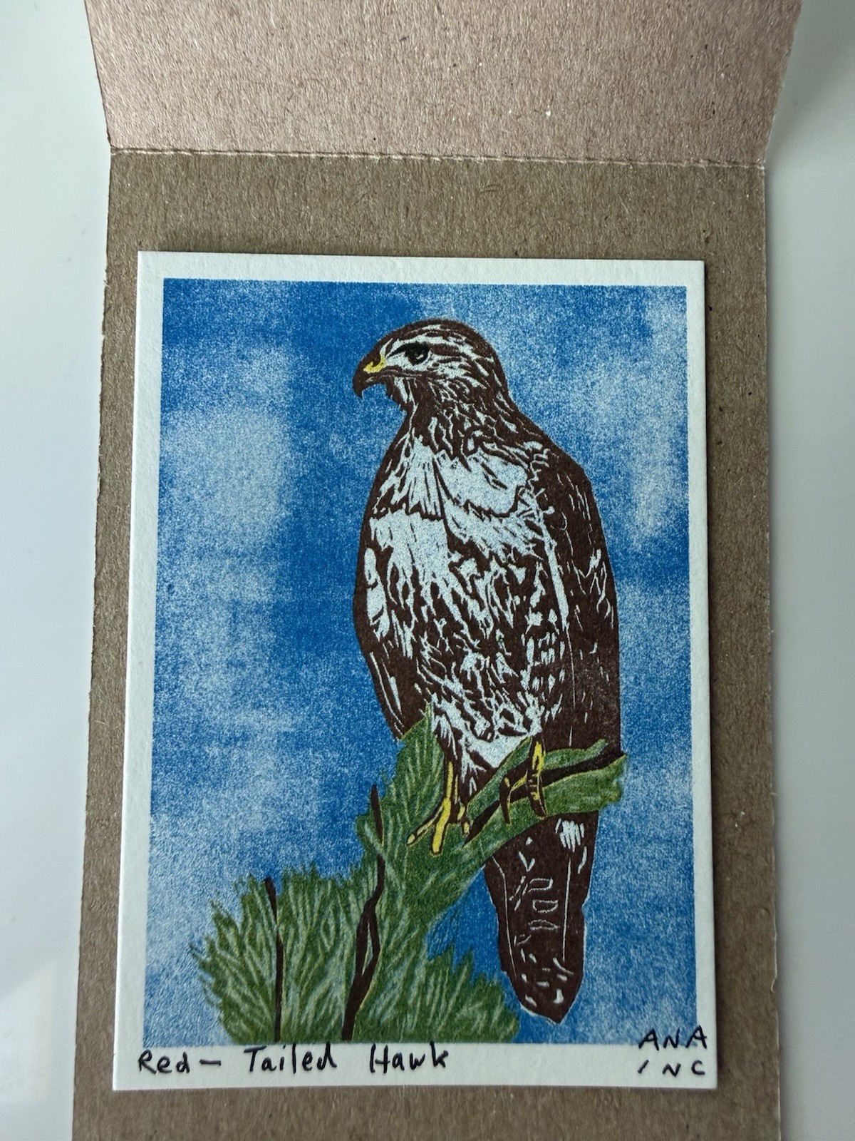 Ana Inciardi mini prints - Red-Tailed Hawk Ana Inciardi mini prints - Red-Tailed Hawk