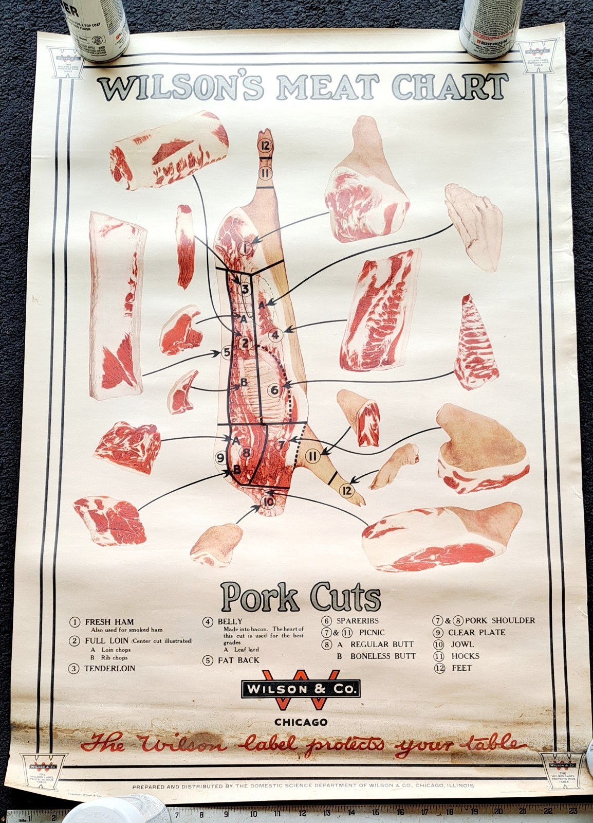 Vtg WILSON & CO. Pork Cuts Wilson's Meat Chart Poster Chicago Butcher VIDEO