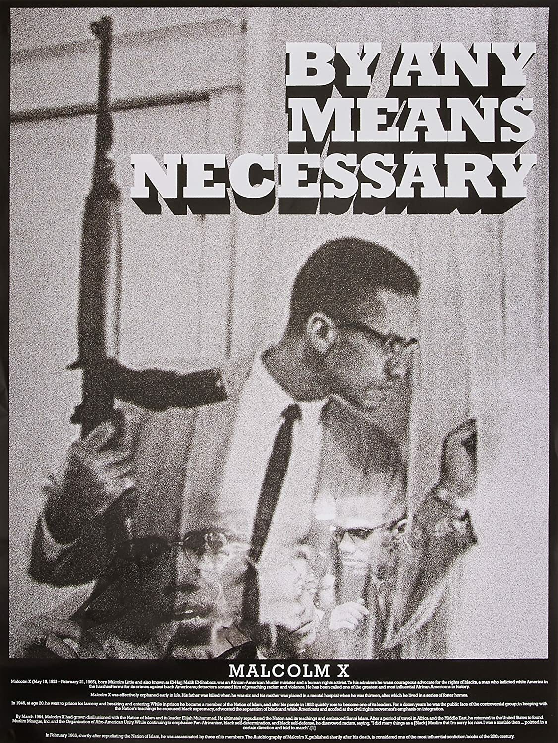 Malcolm X Poster By Any Means Necessary Black History Wall Art Print (18x24)