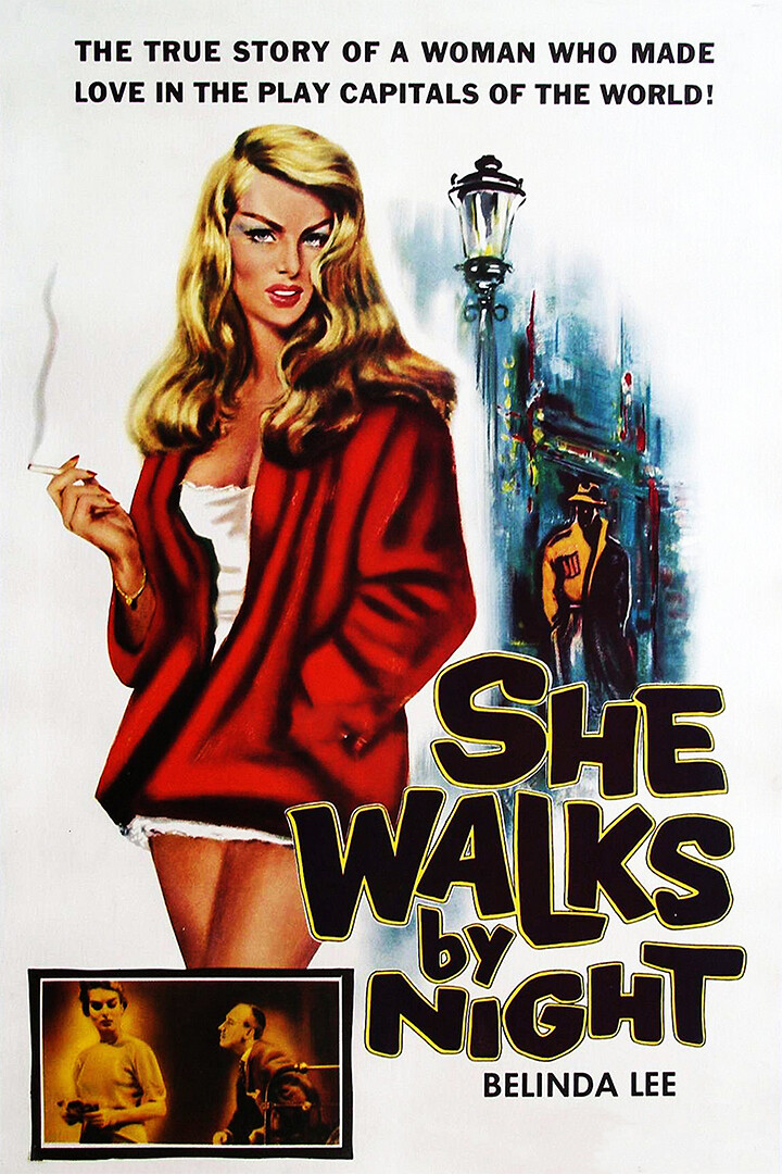 She Walks by Night Movie Classic Vintage Wall Art Home Decor - POSTER 20x30