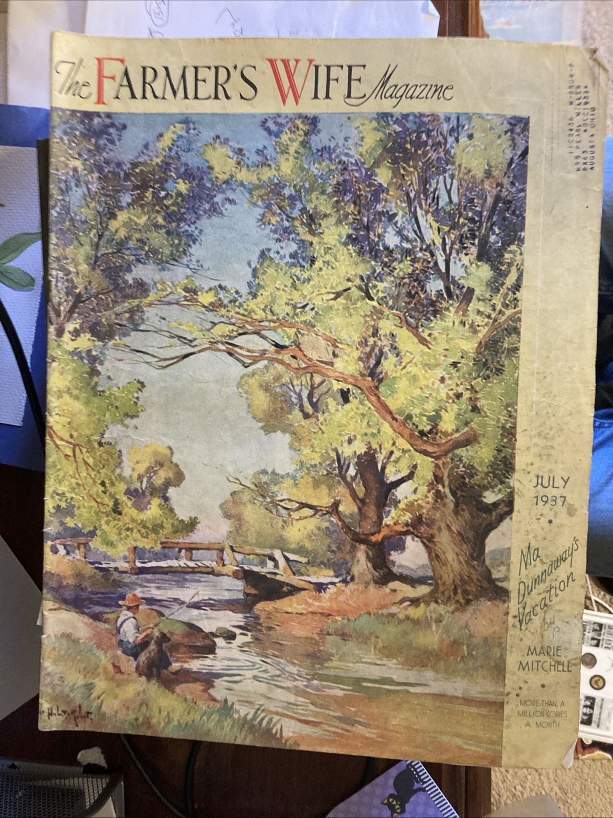 The Farmer’s Wife Mag.July 1937