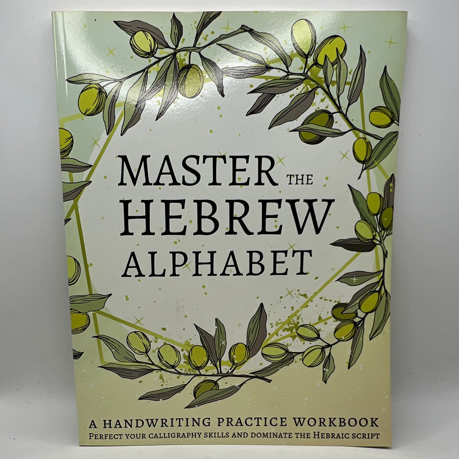 Lang Workbooks Master the Hebrew Alphabet Beginner Workbook Paperback 2019 120p
