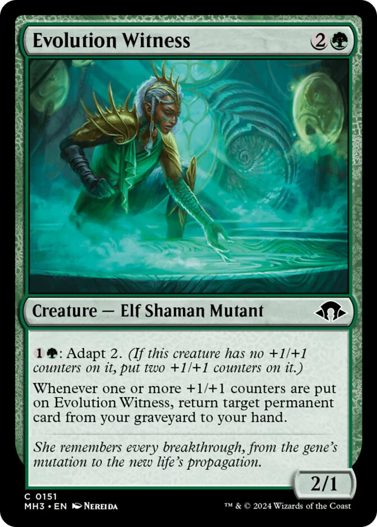 Evolution Witness [Modern Horizons 3] Near Mint