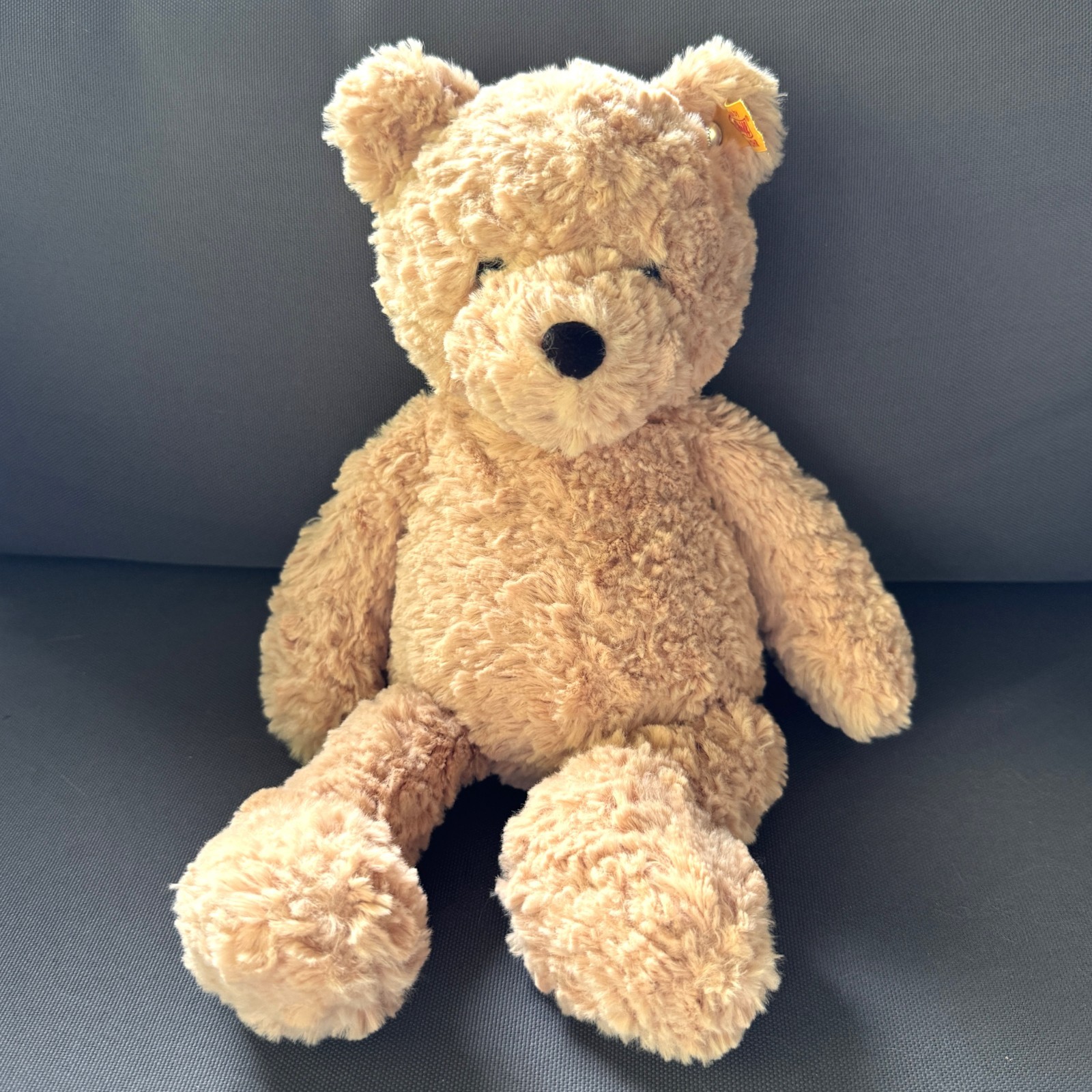 Steiff Jimmy Teddy Bear Bean Bag Plush, 12\