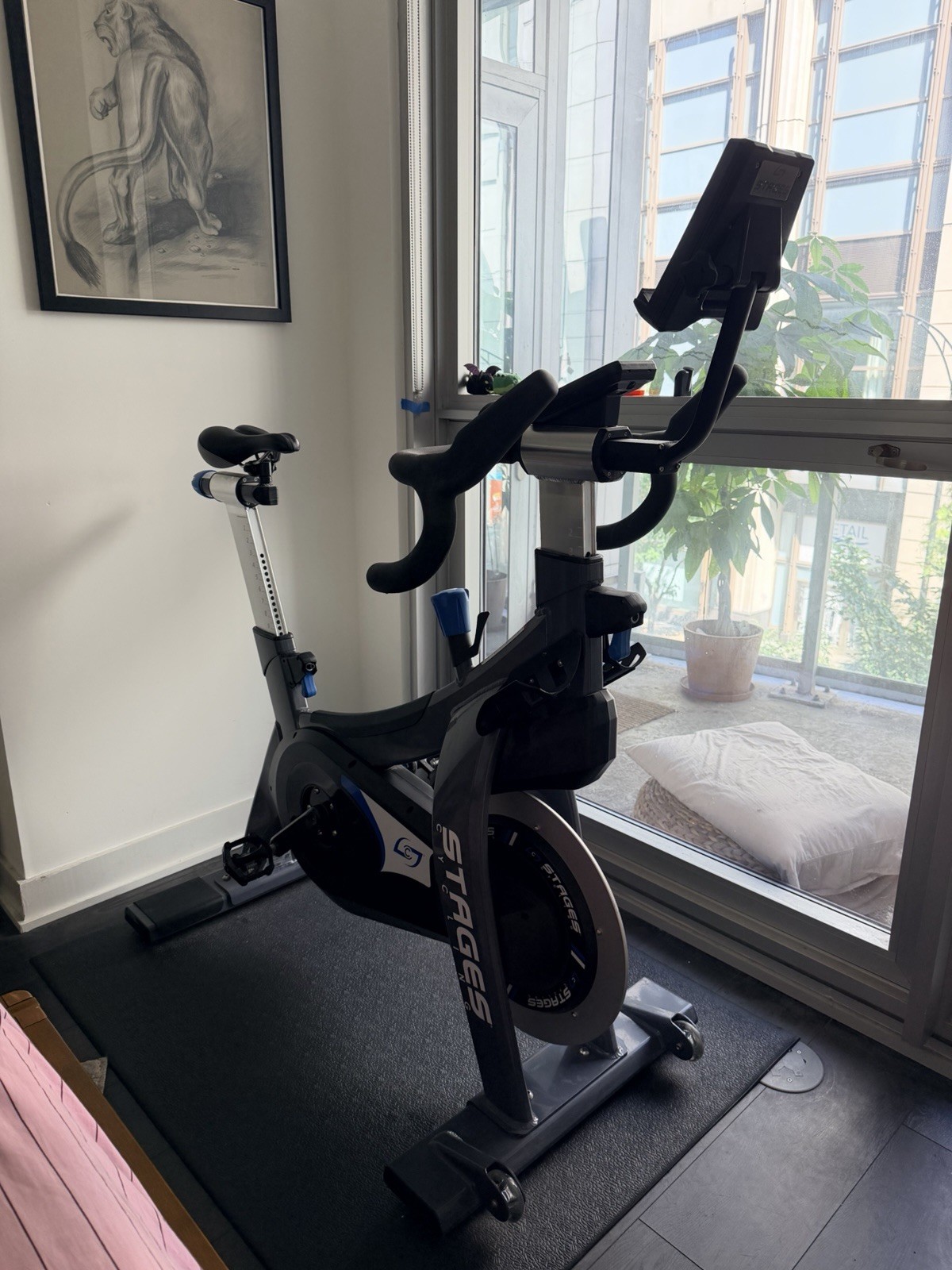 Stages SC3 Indoor Cycle Bike – Commercial Studio Bike with Power Meter
