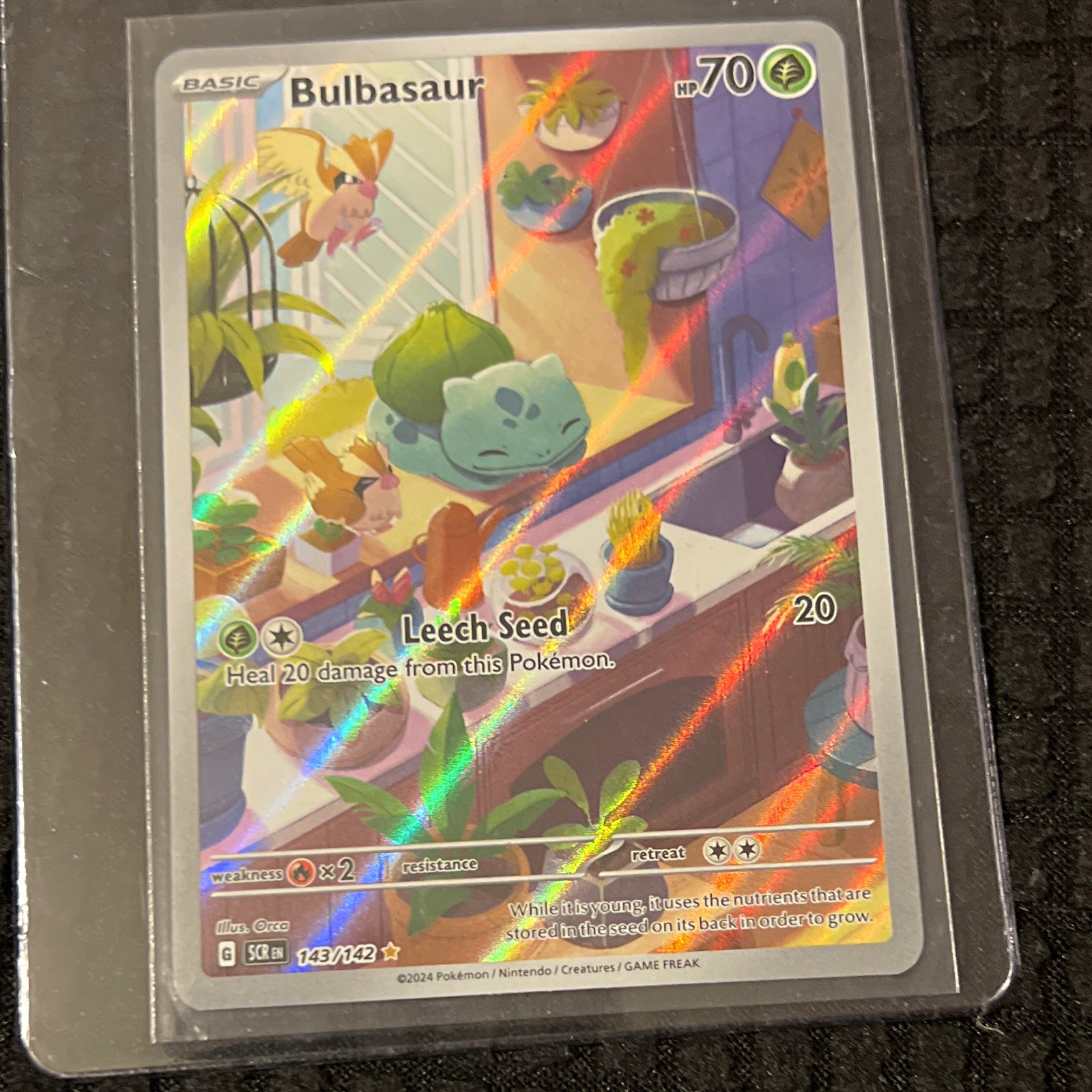 Pokemon TCG Bulbasaur Illustration Rare Holo Sv07 Stellar Crown 143/142 EN Pokemon TCG Bulbasaur Illustration Rare Holo Sv07 Stellar Crown 143/142 EN