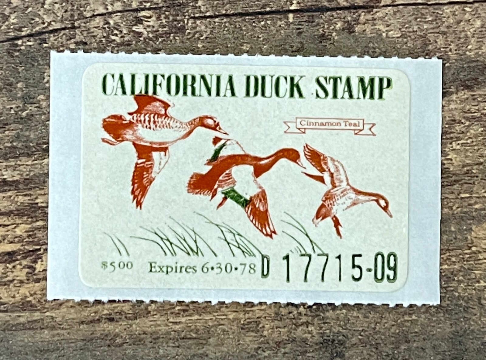 WTDstamps - 1977 CALIFORNIA - State Duck Stamp - Lot1 - Mint OG NH WTDstamps - 1977 CALIFORNIA - State Duck Stamp - Lot1 - Mint OG NH