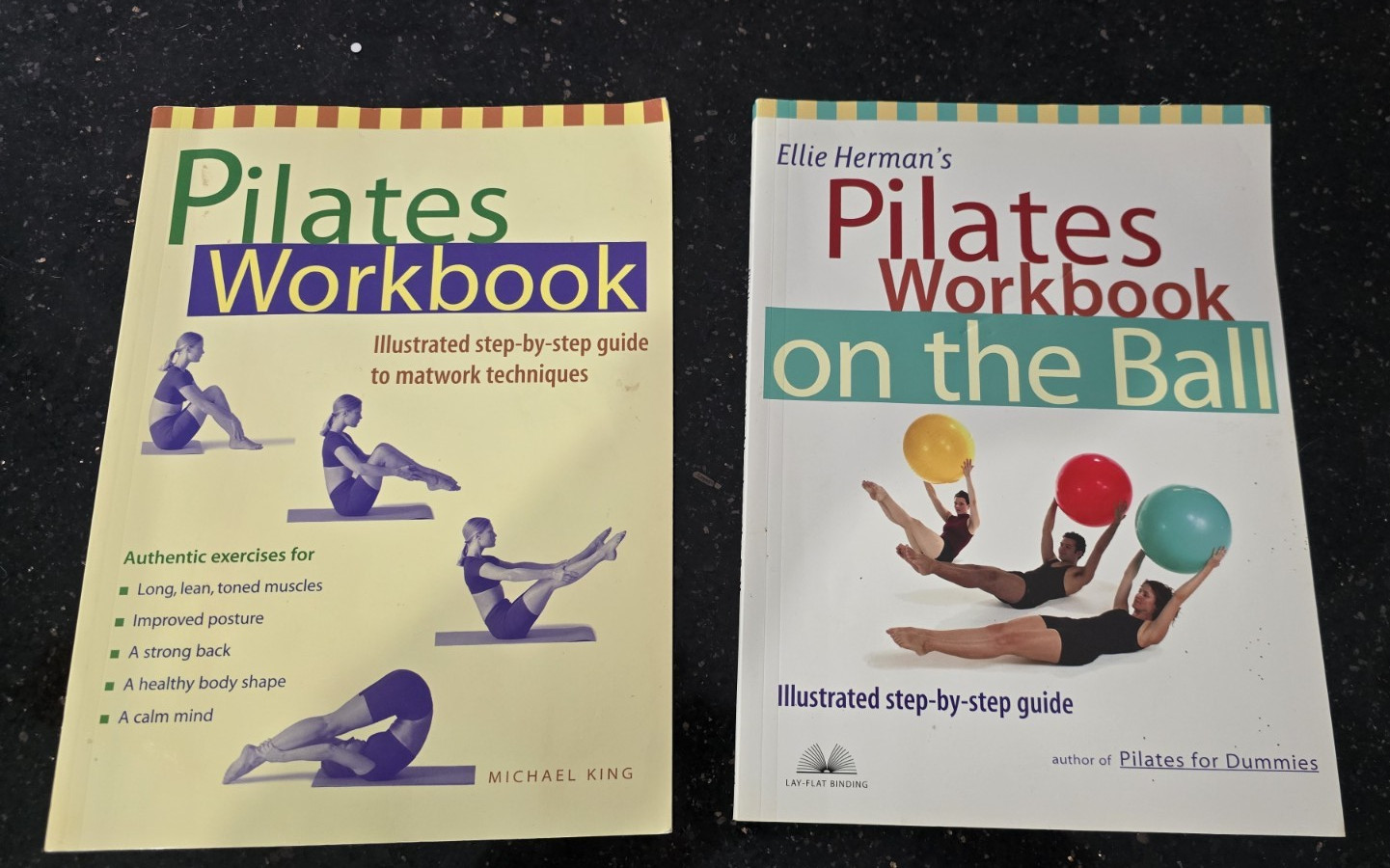 Ellie Herman + Michael King Pilates Workbook on the Ball 2 Book Lot PB Illus