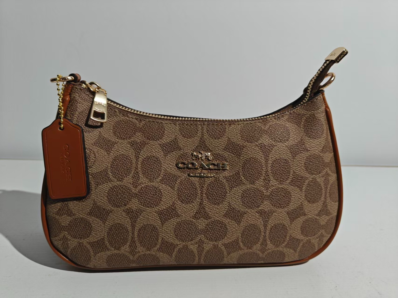 Coach Teri Shoulder Bag CV933 Signature Canvas Hobo Handbag Dual Straps