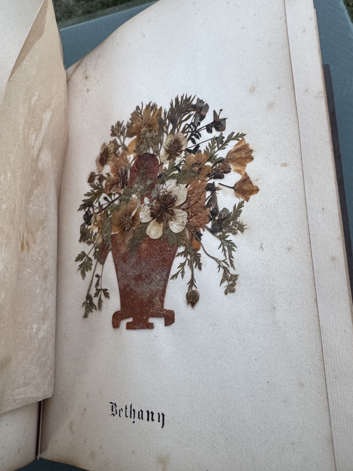 Antique Wild Flowers of the Holy Land Book Pressed Flowers Jerusalem