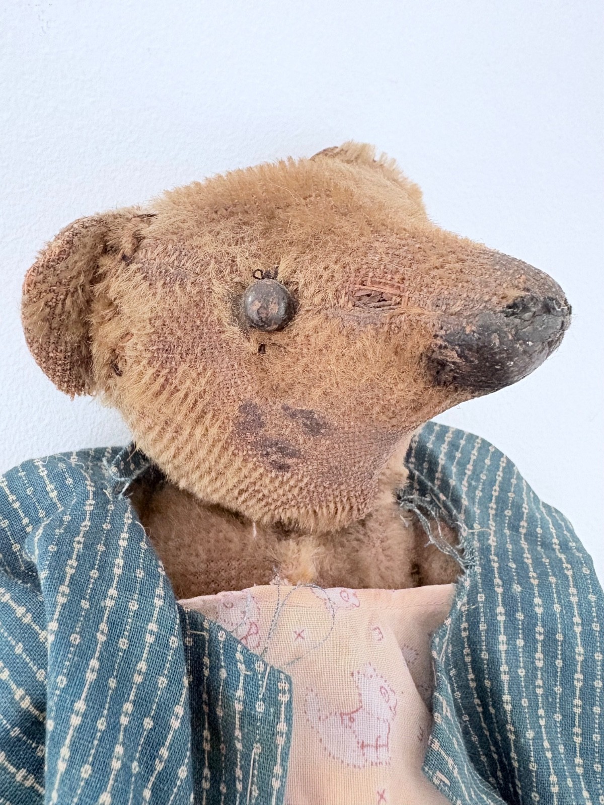 Early 13 inch steiff bear as found Early 13 inch steiff bear as found