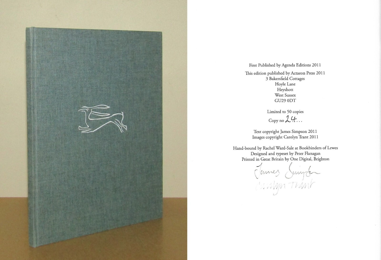 James Simpson & Carolyn Trant - The Untenanted Room - 2011 Actaeon Ltd Edition