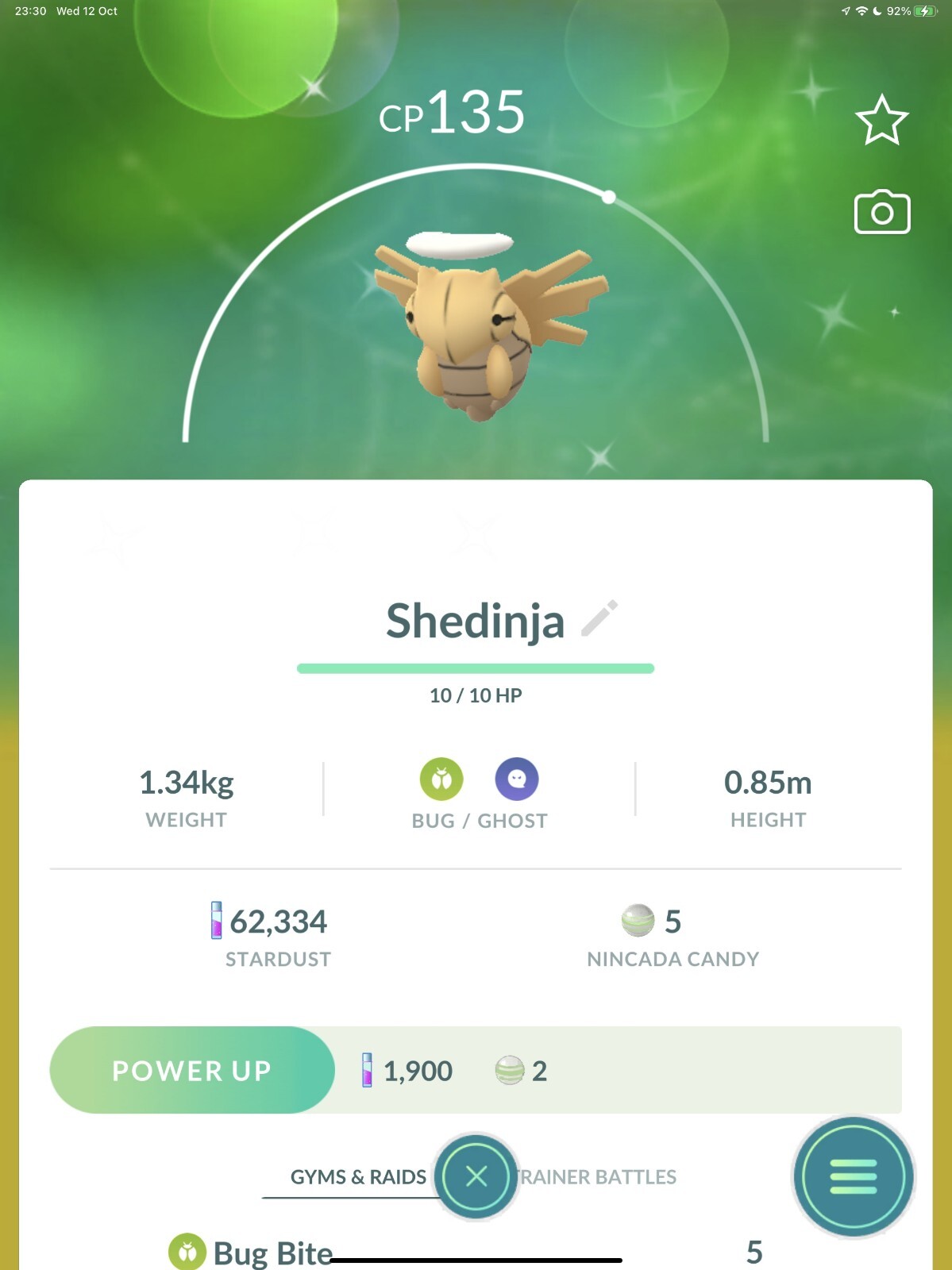 Shiny Shedinja - PTCs - Read Description Shiny Shedinja - PTCs - Read Description