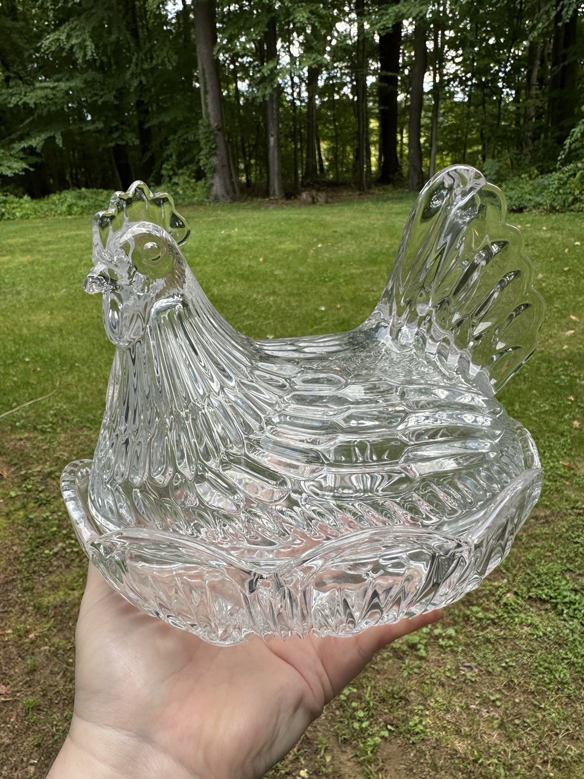 Stunning Large 8.5” Vintage Marquis Waterford Crystal Hen on Nest Covered Bowl