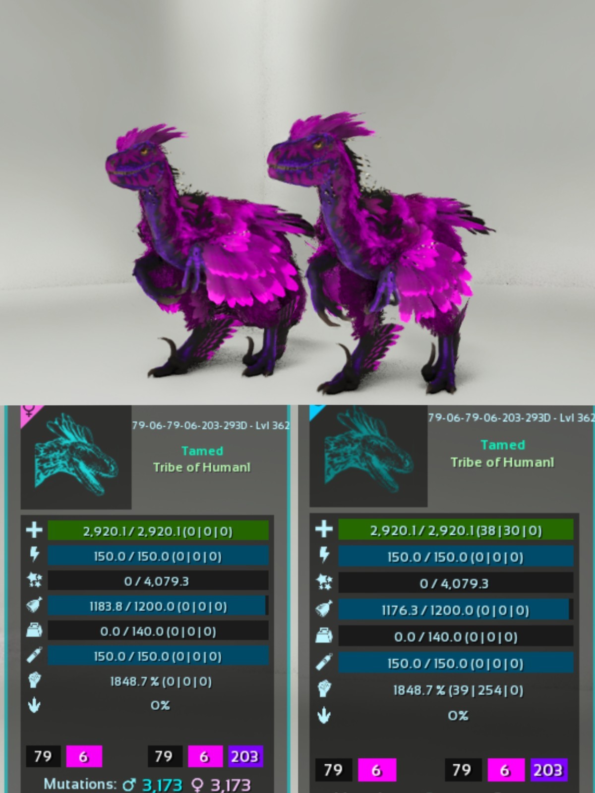1848%(293) Melee Deinonychus Pair ARK🦕 Survival Ascended ASA PVE PC/XBOX/PS