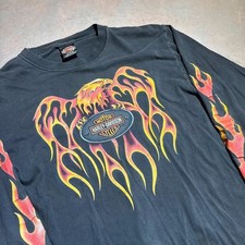 vintage 2001 harley davidson quad hit flamer grail picture