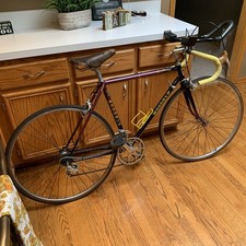 Vintage 80’s WOODRUP Touring Bicycle Bike Campagnolo Brooks Ambrosio Clean 1985 picture