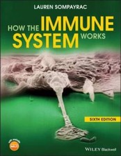 How the Immune System Works (The How it Works Series) - Paperback - GOOD picture