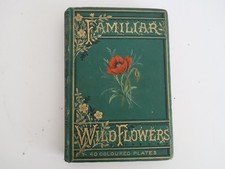 Vintage 1890s Familiar Wild Flowers Third Series 40 Coloured Plates picture