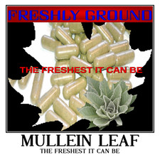 MULLEIN LEAF The Freshest It Can Be 100 Vegetarian Capsules No Additives picture