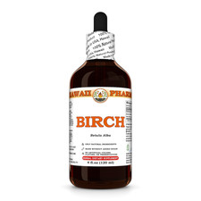 Birch (Betula Alba) Dried Bark Liquid Herbal Extract picture