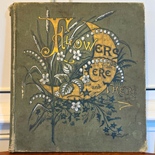 Flowers from Here and There Susie Barstow Skelding 1885 Illustrated Hardcover picture