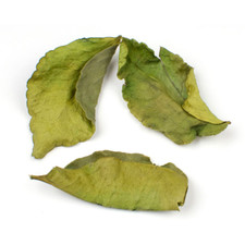 WHOLESALE Makrut Lime Leaves Dried Lime Leaves Whole Leaves picture