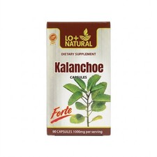 Kalanchoe picture