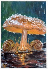 ACEO Original PRINT Snail Mushroom Fantasy Whimsical Art by jackies.artcorner picture