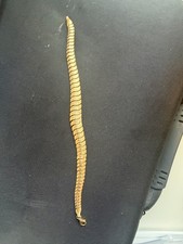 Kinn Cobra Chain Bracelet 14K Solid Gold 7.5g 9.5mm Preowned Great Condition picture