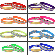 Warner Sporting Reflective Dayglo Med/Large Dog Collar Free Engraved Tag USA picture