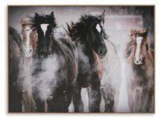 Signature Design by Ashley Chaseburn Equine Wall Art picture