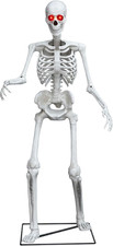 Fun Costumes 5FT Animated Skeleton Prop for Halloween - Movable Arms, LED Eyes, picture